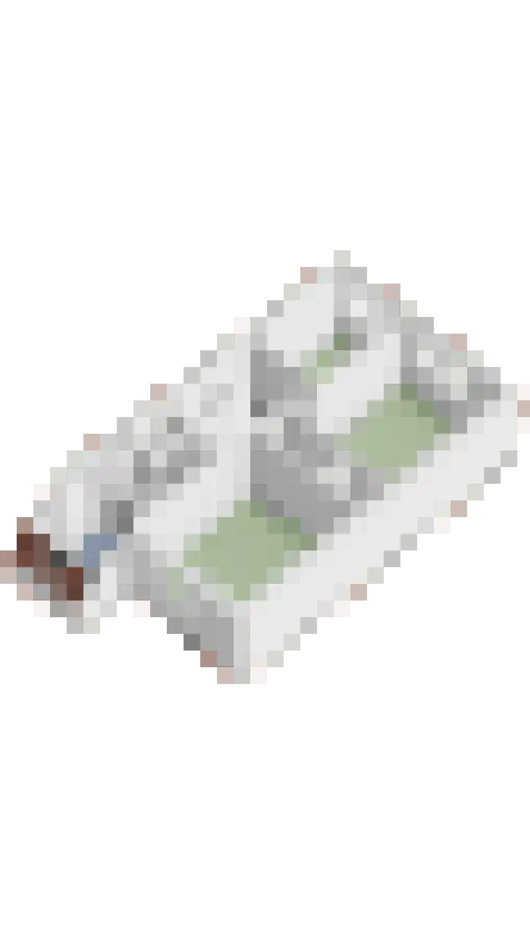 Potsmaat 164 Doesburg thumbnail 37