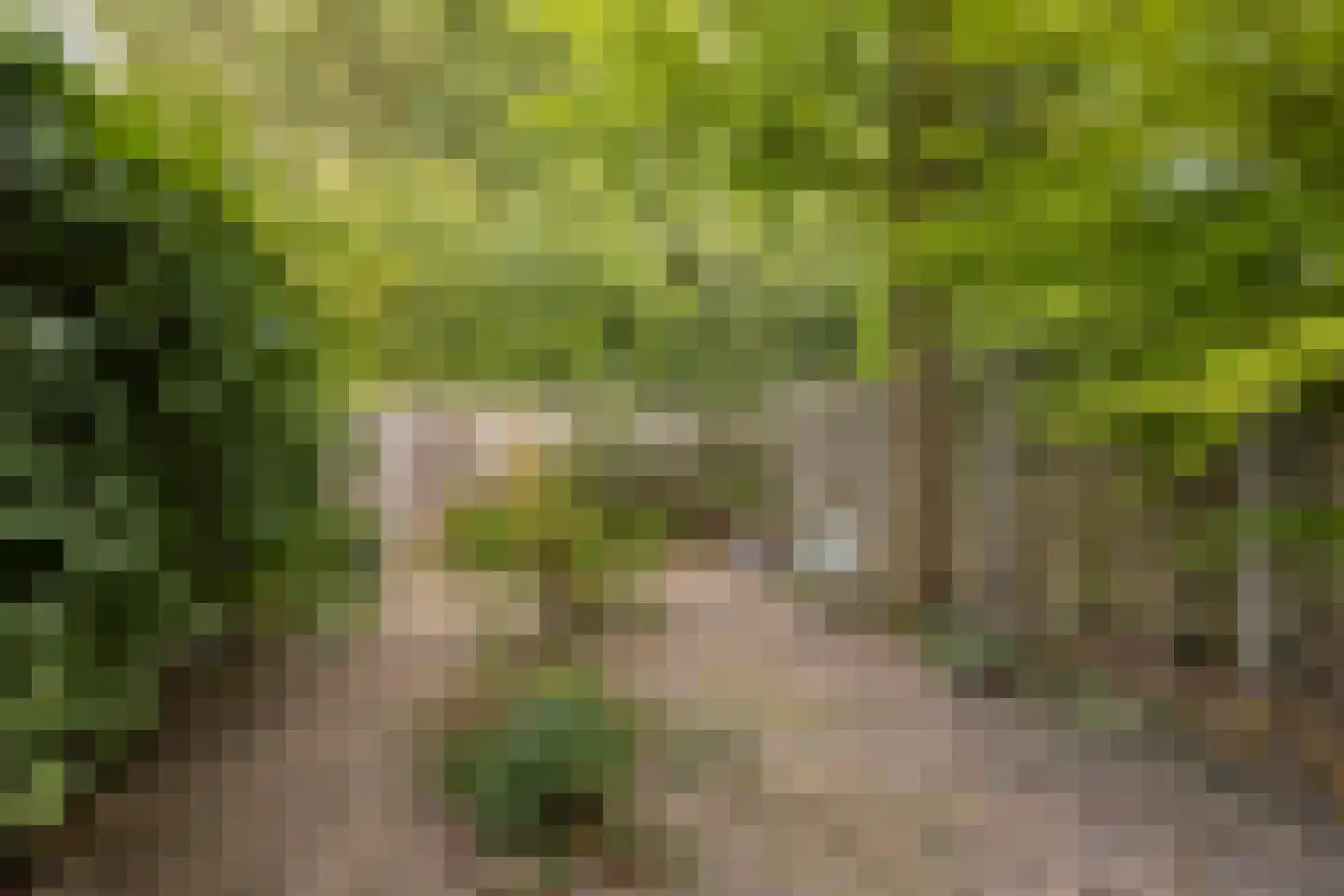 Potsmaat 164 Doesburg thumbnail 4