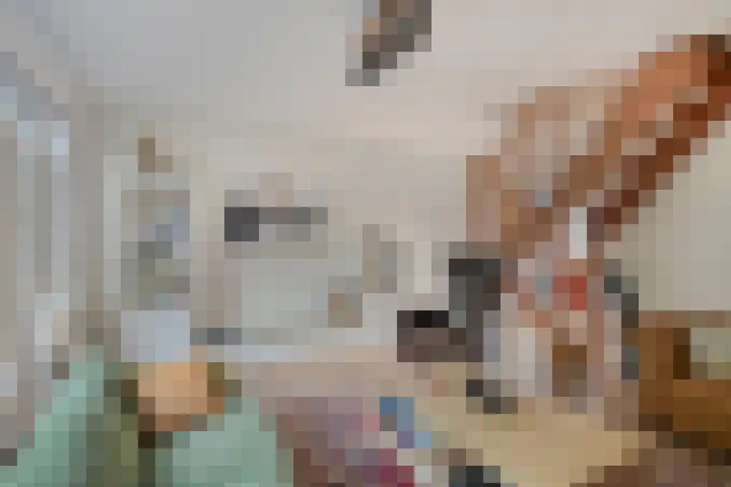 Potsmaat 164 Doesburg thumbnail 7