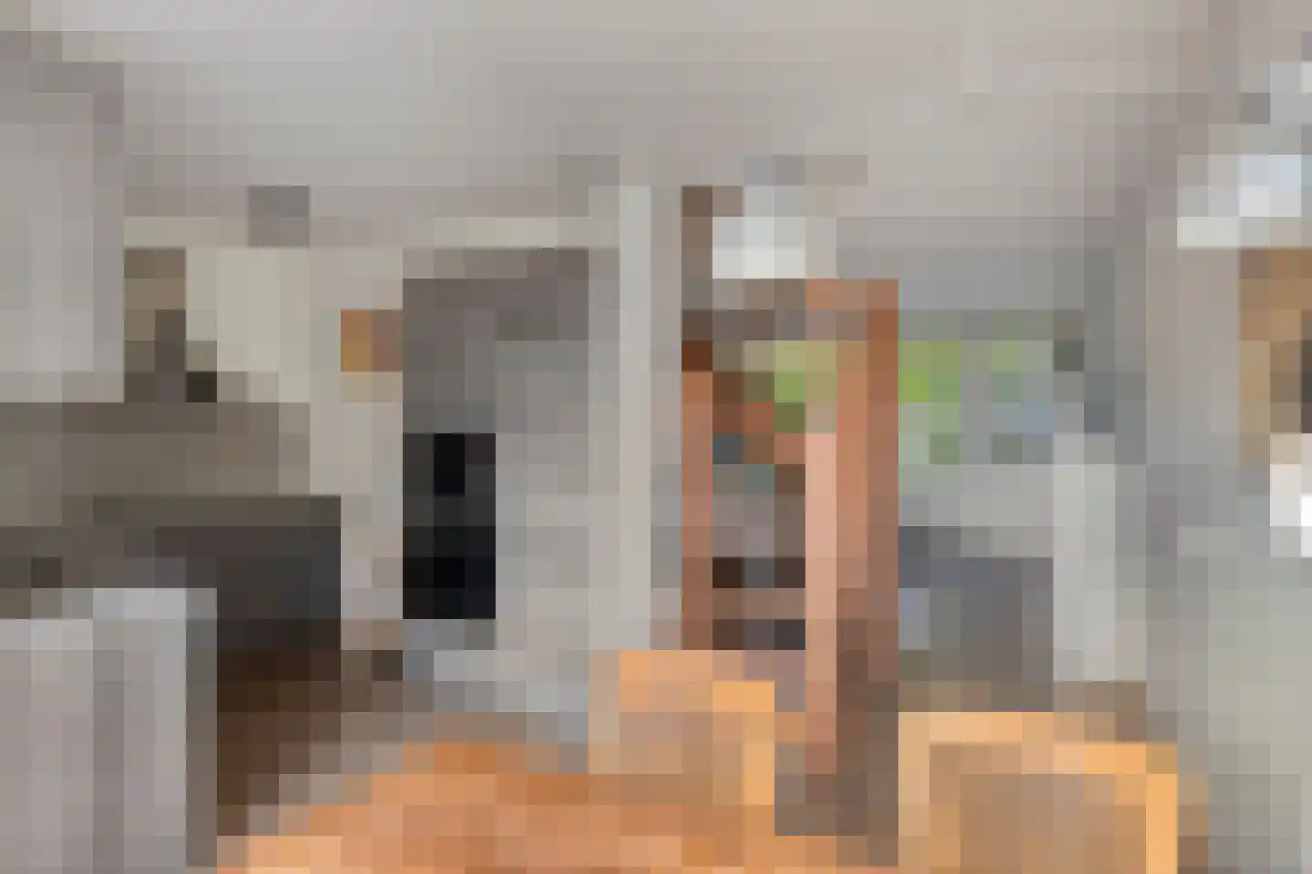 Potsmaat 164 Doesburg thumbnail 9