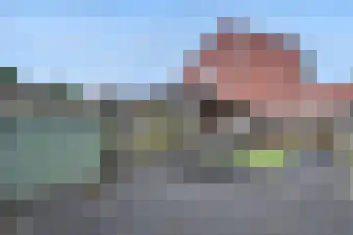 Potsmaat 176 Doesburg thumbnail 21