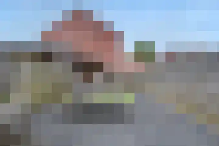 Potsmaat 176 Doesburg thumbnail 22