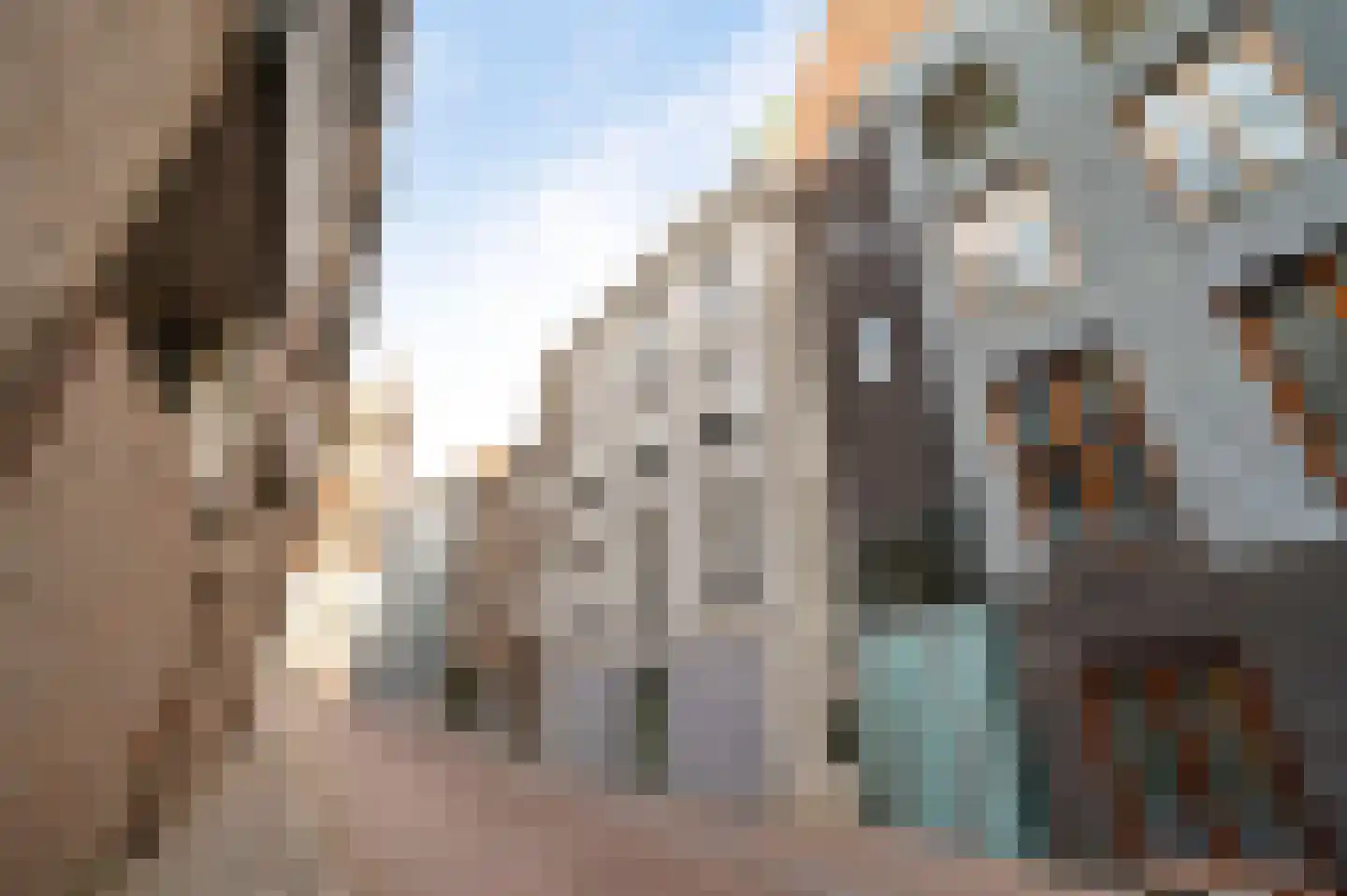 Potsmaat 176 Doesburg thumbnail 27