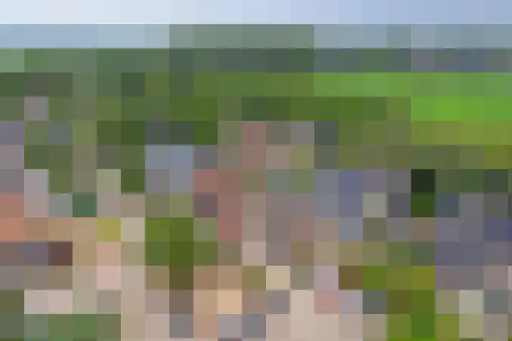 Potsmaat 176 Doesburg thumbnail 27