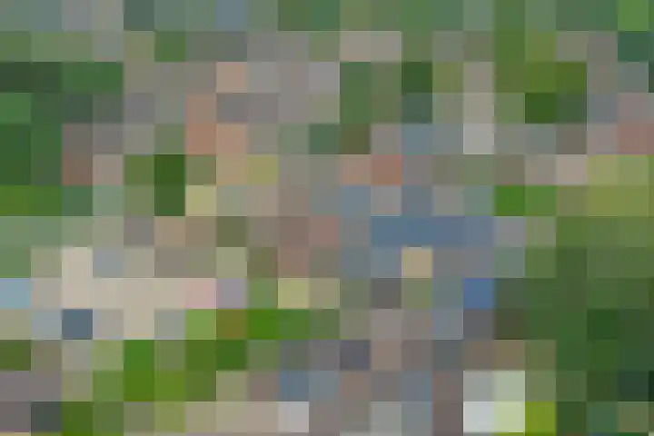 Potsmaat 176 Doesburg thumbnail 28