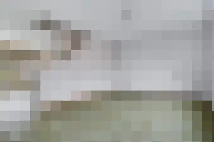 Potsmaat 176 Doesburg thumbnail 5