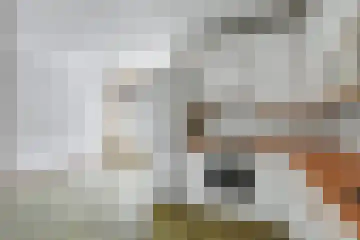 Potsmaat 176 Doesburg thumbnail 8