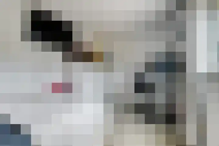 Potsmaat 43 Doesburg thumbnail 12