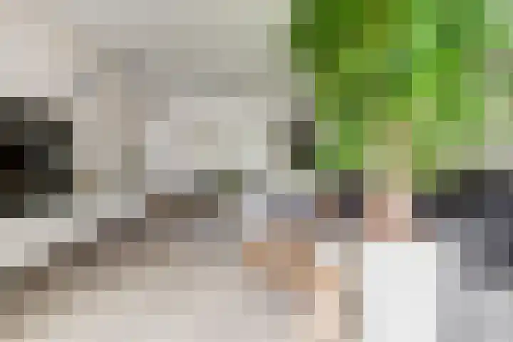 Potsmaat 43 Doesburg thumbnail 14