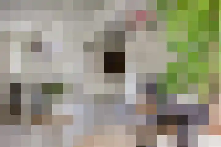 Potsmaat 43 Doesburg thumbnail 15