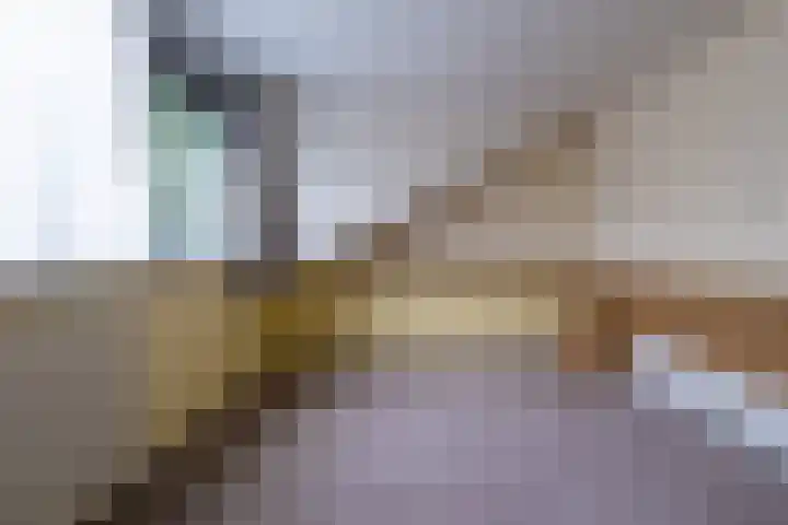 Potsmaat 43 Doesburg thumbnail 16