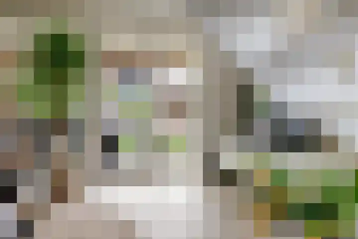 Potsmaat 43 Doesburg thumbnail 16