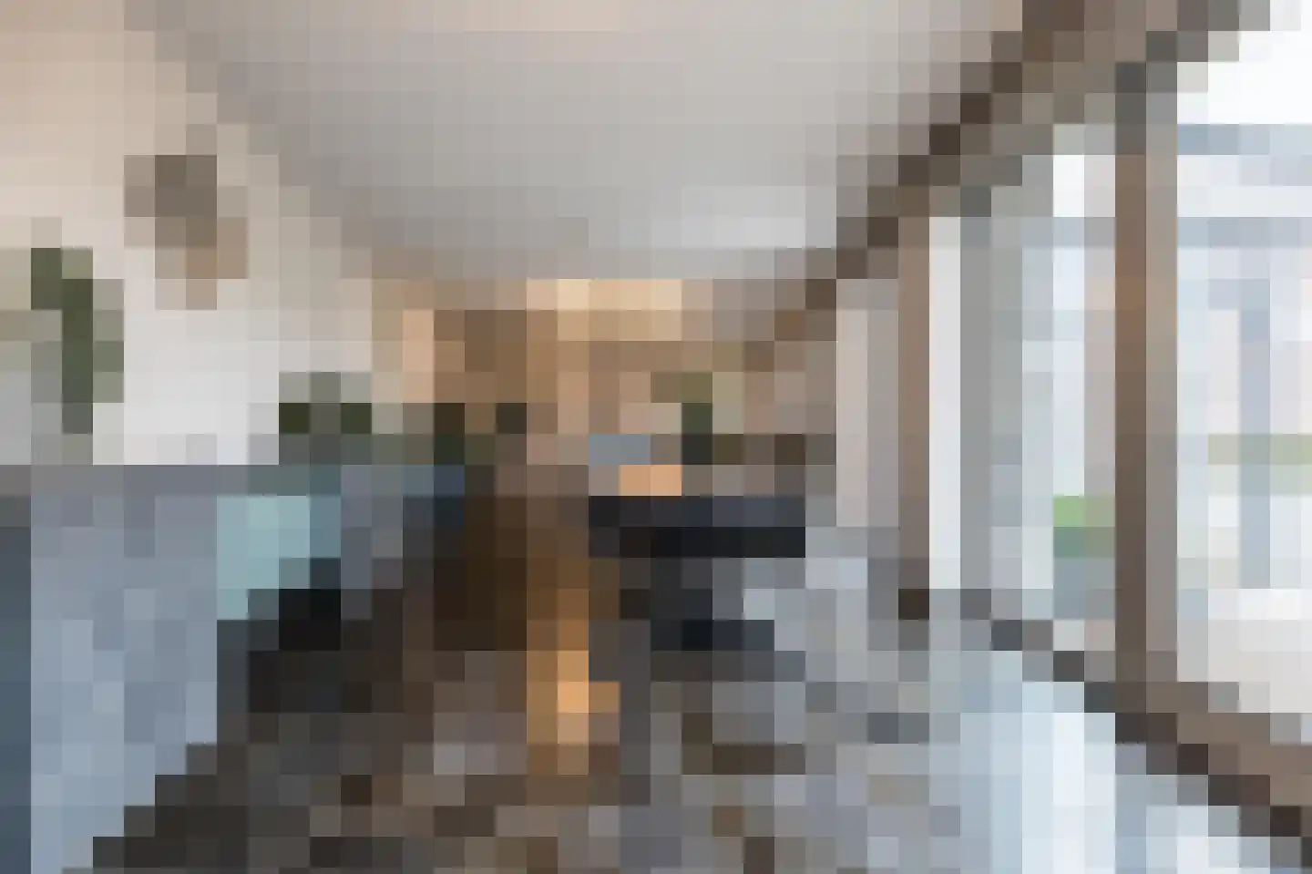 Potsmaat 43 Doesburg thumbnail 17
