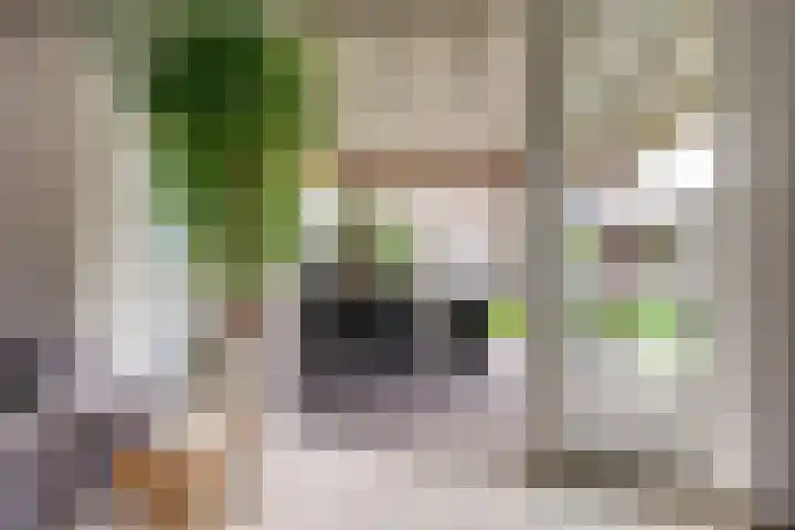 Potsmaat 43 Doesburg thumbnail 17