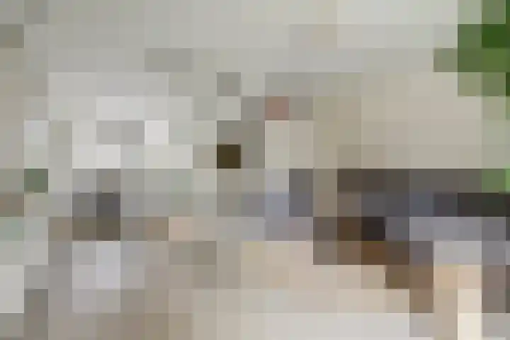Potsmaat 43 Doesburg thumbnail 19