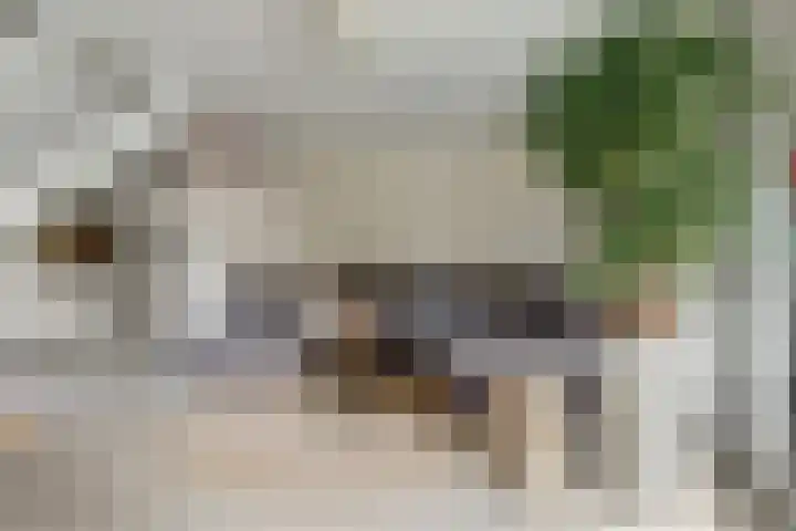 Potsmaat 43 Doesburg thumbnail 20