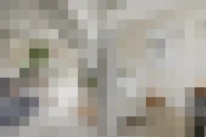 Potsmaat 43 Doesburg thumbnail 21