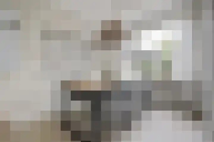 Potsmaat 43 Doesburg thumbnail 23