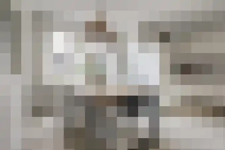 Potsmaat 43 Doesburg thumbnail 24