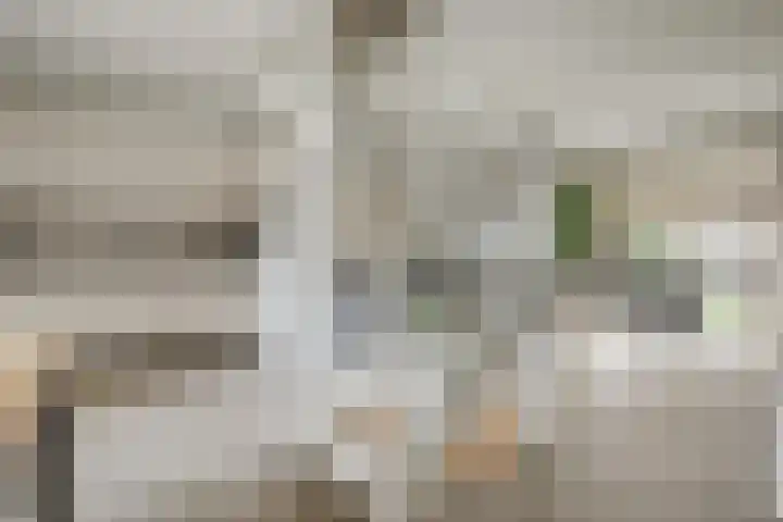 Potsmaat 43 Doesburg thumbnail 27