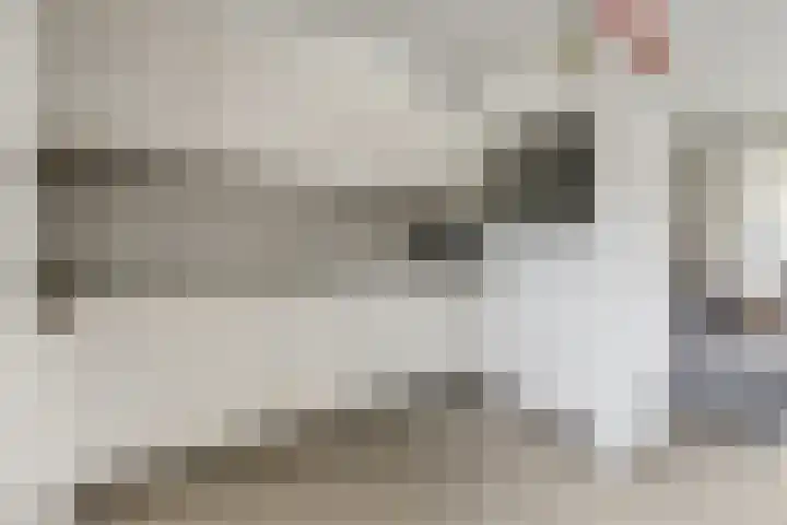 Potsmaat 43 Doesburg thumbnail 28