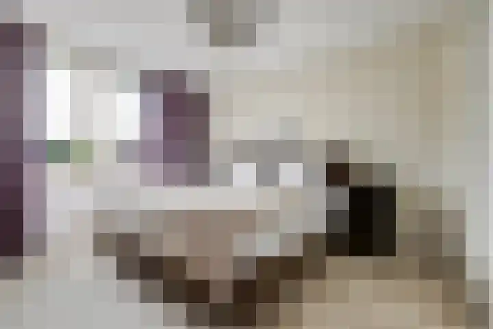 Potsmaat 43 Doesburg thumbnail 32