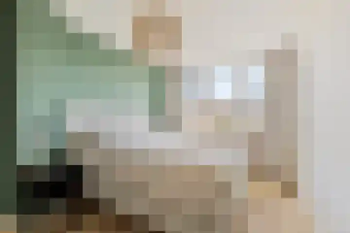 Potsmaat 43 Doesburg thumbnail 37