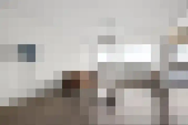 Potsmaat 43 Doesburg thumbnail 38