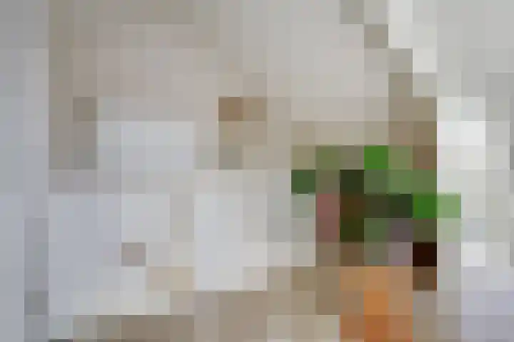 Potsmaat 43 Doesburg thumbnail 44