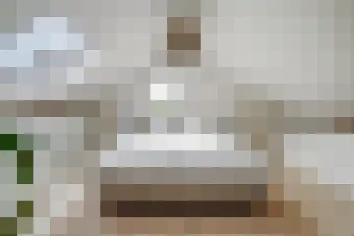 Potsmaat 43 Doesburg thumbnail 45