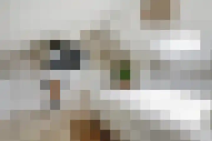Potsmaat 43 Doesburg thumbnail 46
