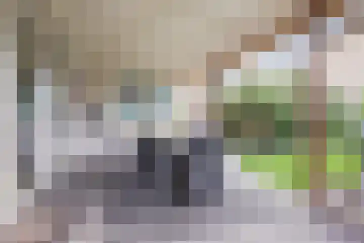 Potsmaat 43 Doesburg thumbnail 49