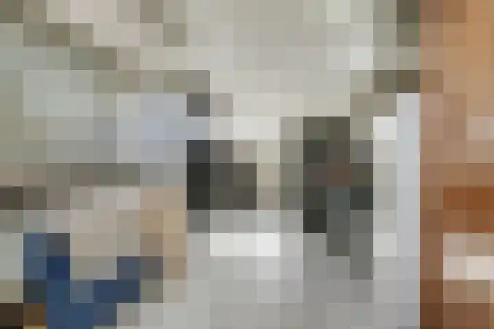 Potsmaat 43 Doesburg thumbnail 50