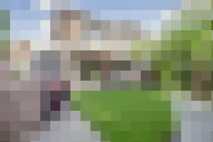 Potsmaat 43 Doesburg thumbnail 54