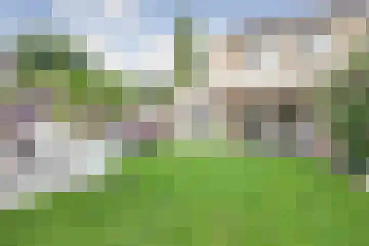 Potsmaat 43 Doesburg thumbnail 55