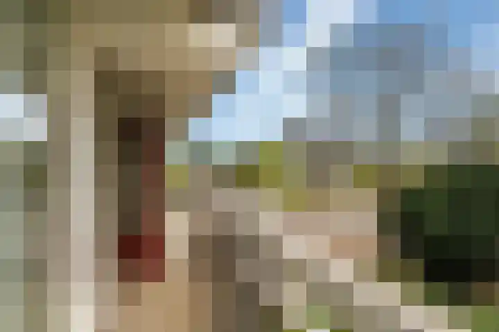 Potsmaat 43 Doesburg thumbnail 56