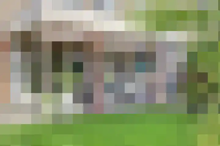 Potsmaat 43 Doesburg thumbnail 56