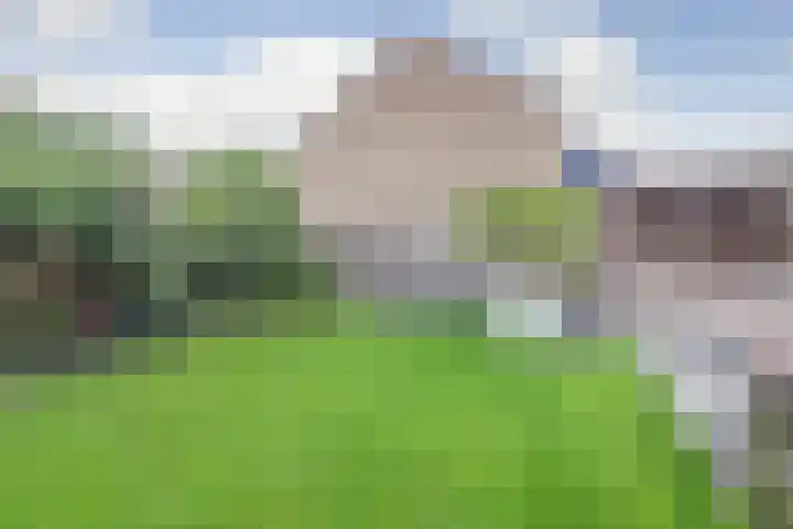 Potsmaat 43 Doesburg thumbnail 57