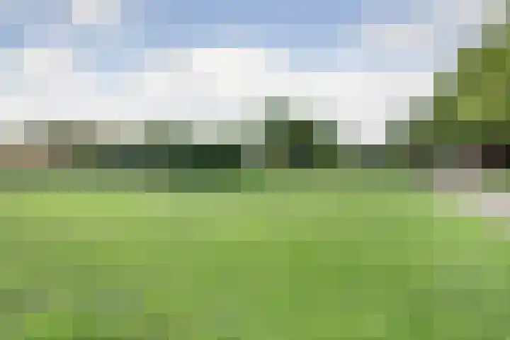 Potsmaat 43 Doesburg thumbnail 60