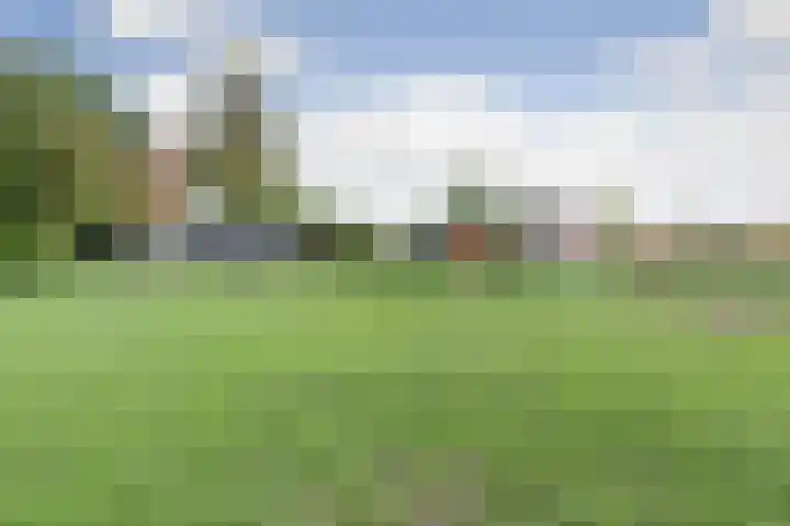 Potsmaat 43 Doesburg thumbnail 61
