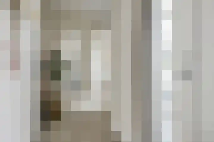 Potsmaat 43 Doesburg thumbnail 8