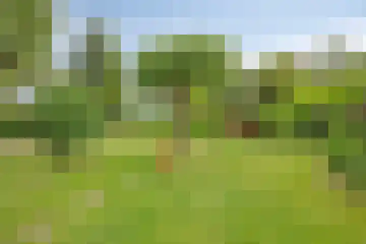 Potsmaat 43 Doesburg thumbnail 9