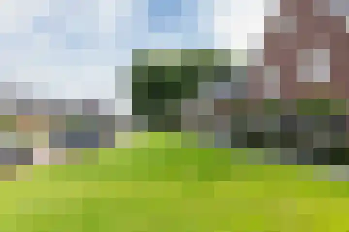 Potstal 14 Beek thumbnail 11