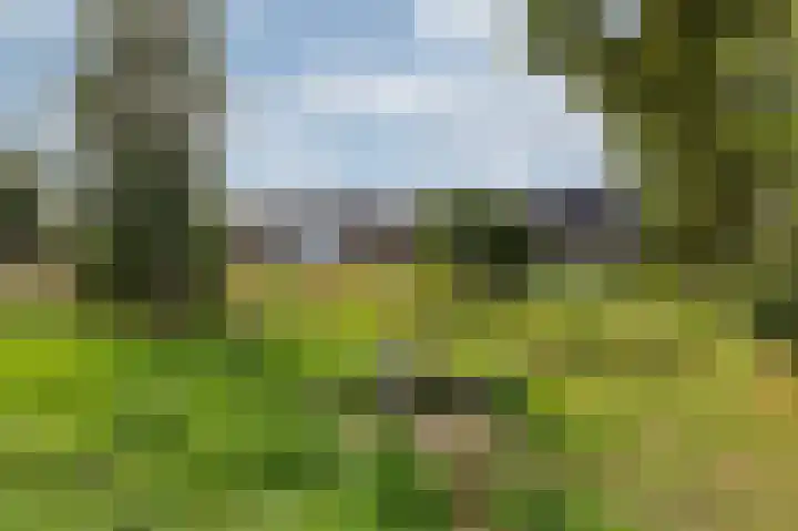 Potstal 14 Beek thumbnail 12
