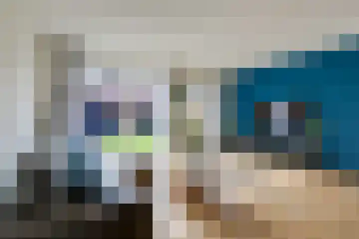 Potstal 14 Beek thumbnail 28