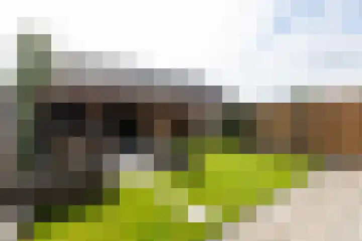 Potstal 14 Beek thumbnail 33