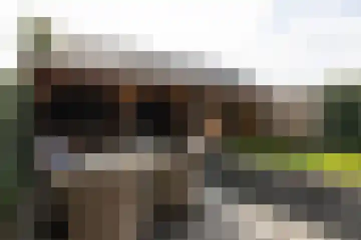 Potstal 14 Beek thumbnail 34