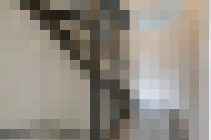 Potstal 14 Beek thumbnail 43