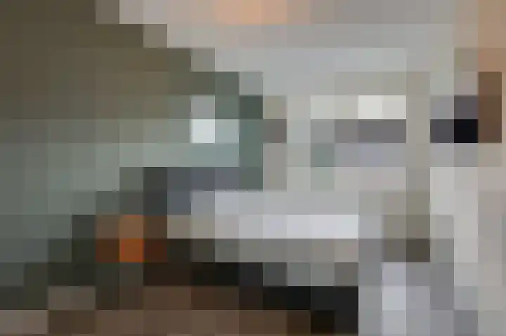 Potstal 14 Beek thumbnail 44