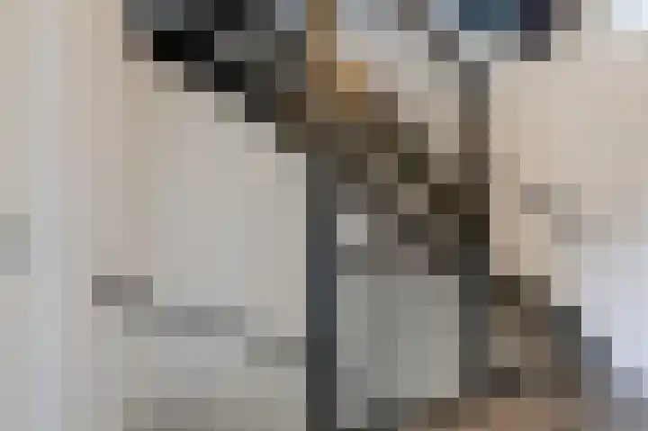 Potstal 14 Beek thumbnail 53